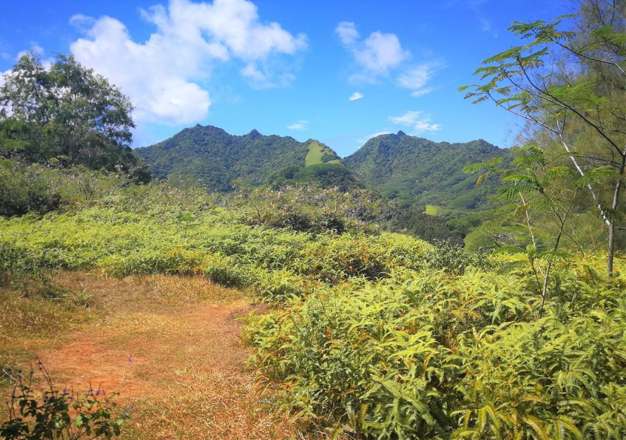 Rarotonga Golfseaview Villa Bagian luar foto